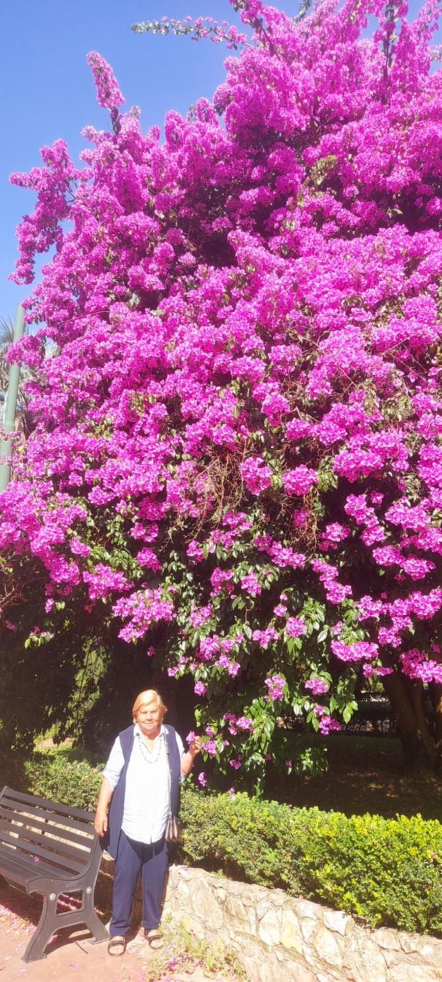 Casa Marvana 2, Near The Ferry To Cinque Terre ラ・スペツィア 部屋 写真